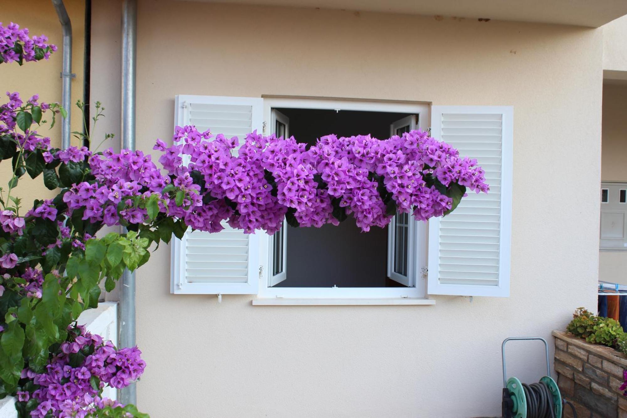 Apartment Mladen Biograd Na Moru Exterior foto